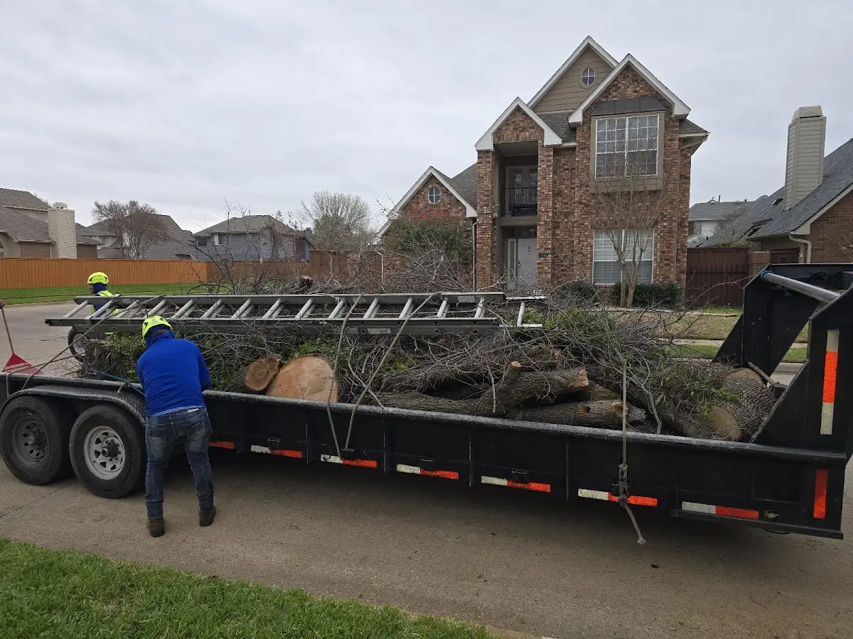 Expert Tree Fertilization with proper safety equipment in Chestertown